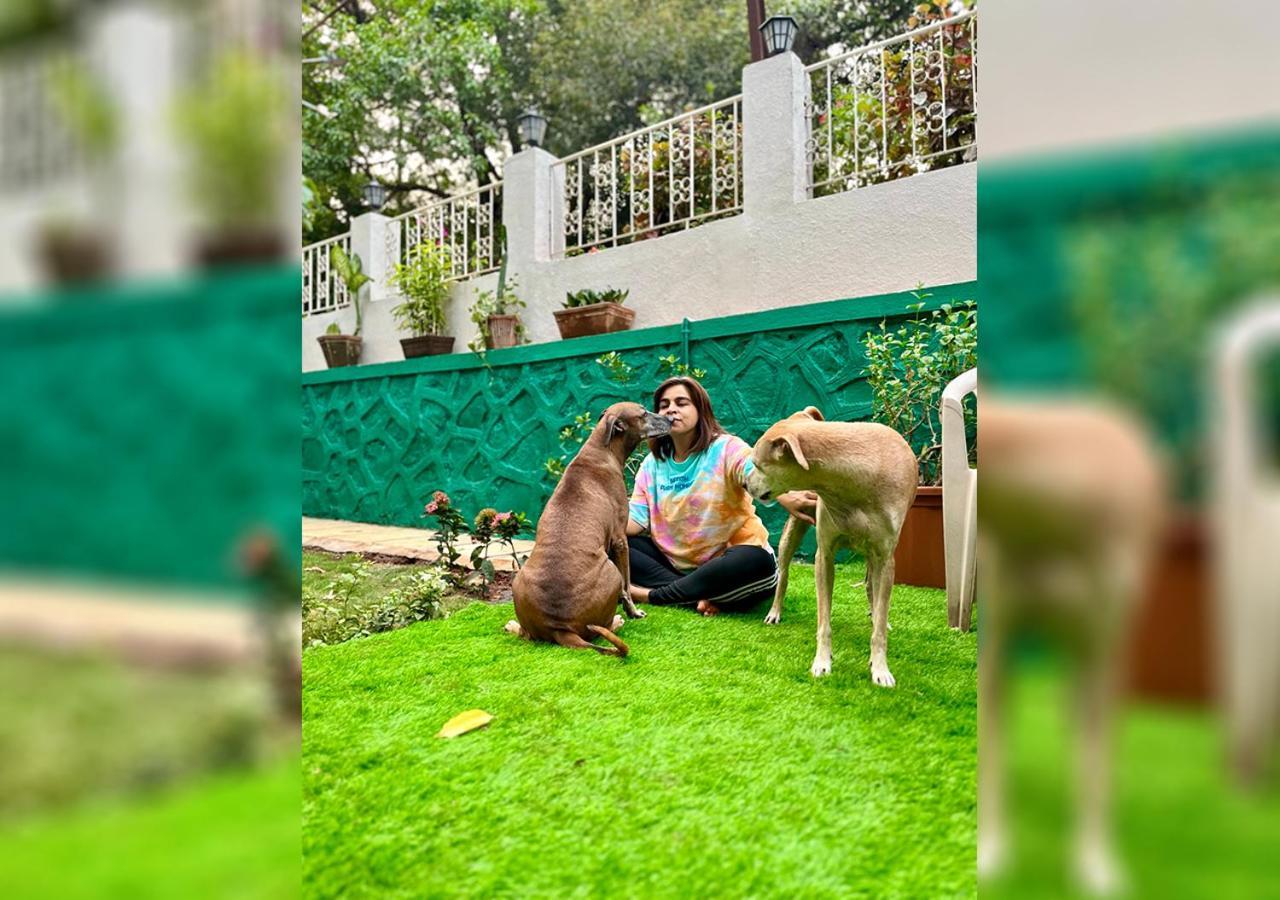 Angel House -Your Private Pet Friendly Haven Lonavala Exteriér fotografie